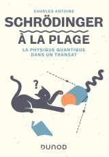Schrodinger a la plage : la physique quantique dans un transat