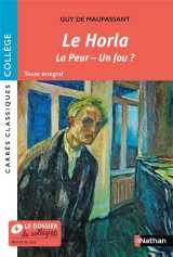 Le horla - la peur - un fou ?