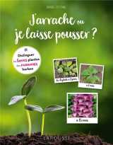 J'arrache ou je laisse pousser ? distinguer les bonnes plantes des mauvaises herbes