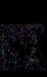 Candide ou l'optimisme