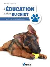 L'éducation positive du chiot