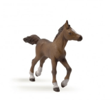 Figurine poulain anglo-arabe
