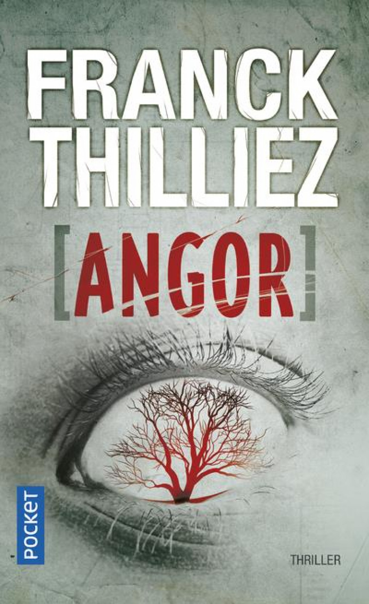 ANGOR - VOL04 - THILLIEZ FRANCK - Pocket