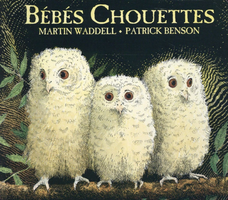 BEBES CHOUETTES (TOUT CARTON) - BENSON/WADELL - Kaléidoscope