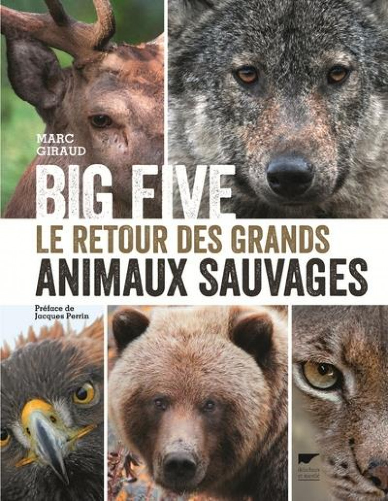 BIG FIVE - LE RETOUR DES GRANDS ANIMAUX SAUVAGES - GIRAUD/LEBAS/WEGNEZ - DELACHAUX