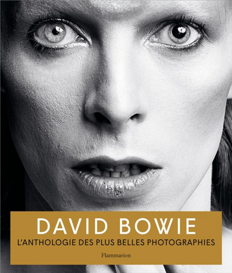 DAVID BOWIE - L'ANTHOLOGIE DES PLUS BELLES PHOTOGRAPHIES - ILLUSTRATIONS, NOIR ET BLANC - COLLECTIF - FLAMMARION