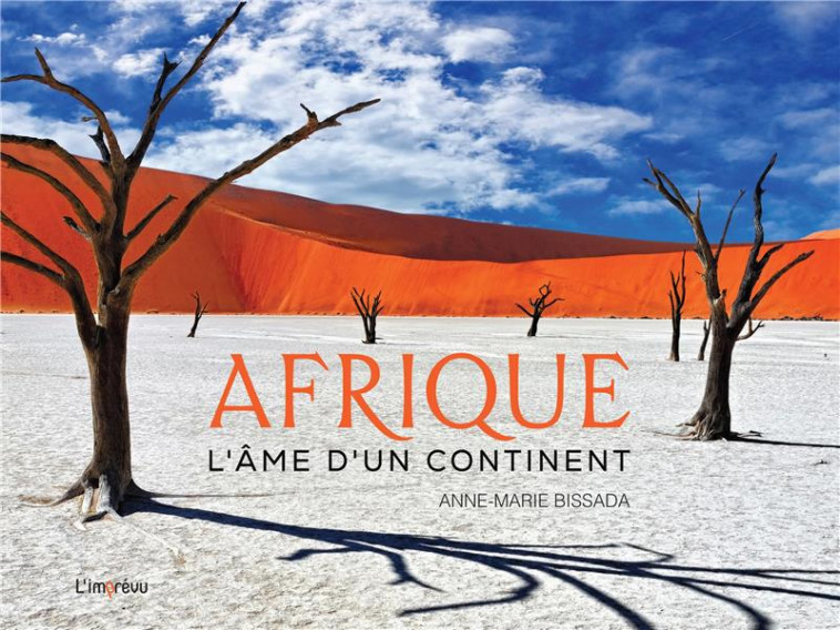 AFRIQUE. L'AME D'UN CONTINENT - BISSADA ANNE-MARIE - L IMPREVU