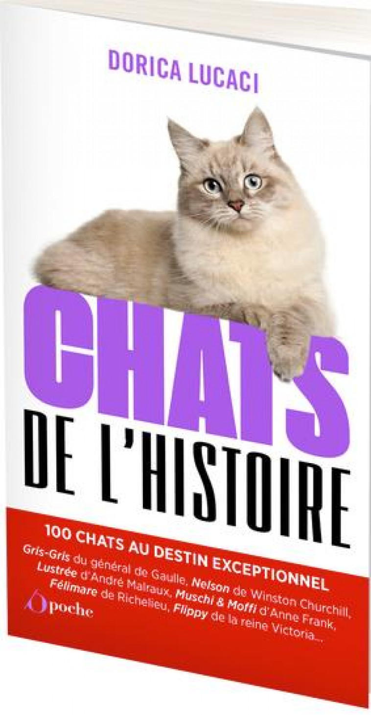 CHATS DE L-HISTOIRE - 100 CHATS AU DESTIN EXCEPTIONNEL - LUCACI DORICA - L ETUDIANT