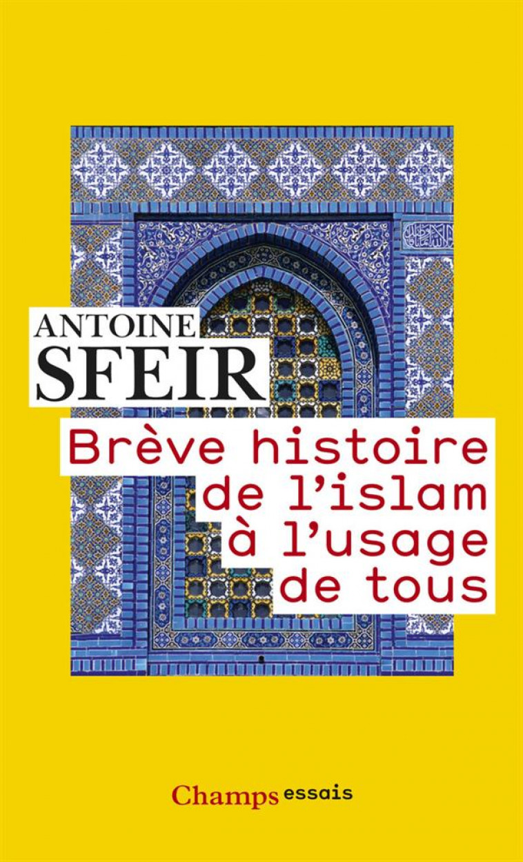 BREVE HISTOIRE DE L-ISLAM A L-USAGE DE TOUS - SFEIR ANTOINE - Flammarion