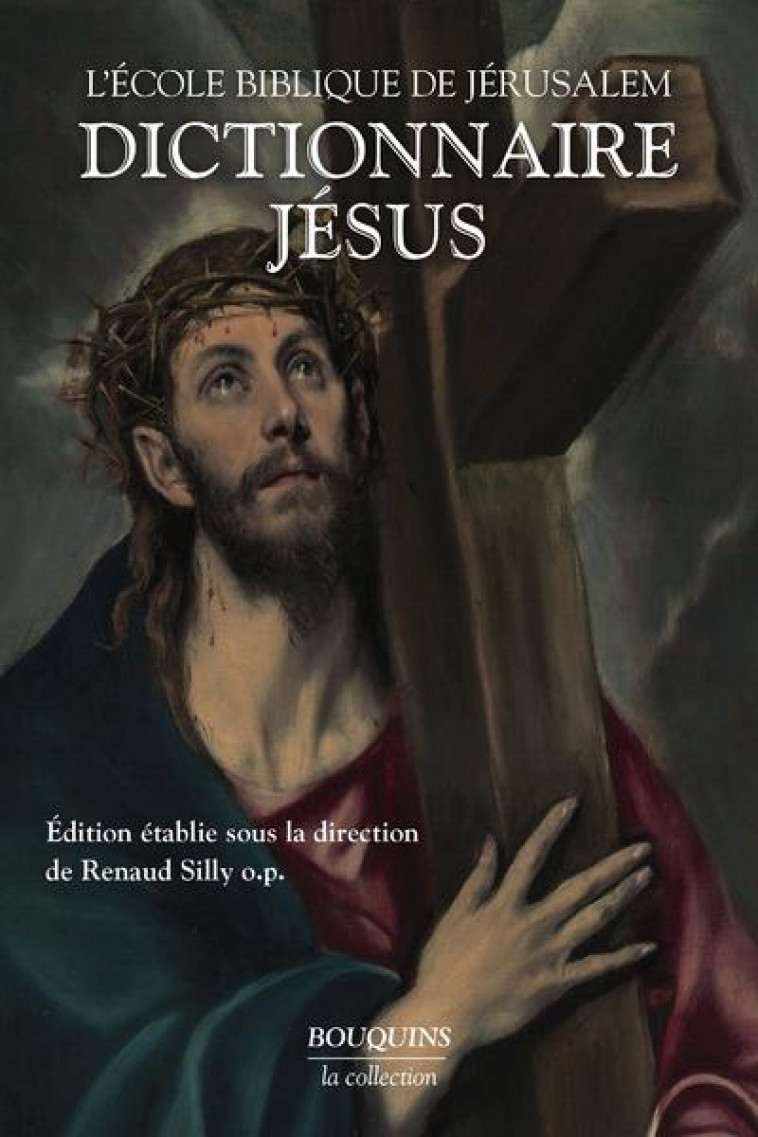 DICTIONNAIRE JESUS - SILLY RENAUD - ROBERT LAFFONT