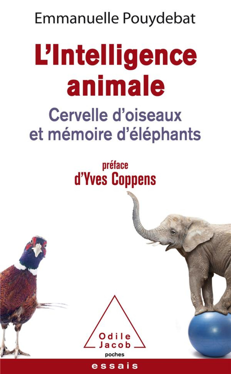 L'INTELLIGENCE ANIMALE  -  CERVELLE D'OISEAUX ET MEMOIRE D'ELEPHANTS - EMMANUELLE POUYDEBAT - JACOB