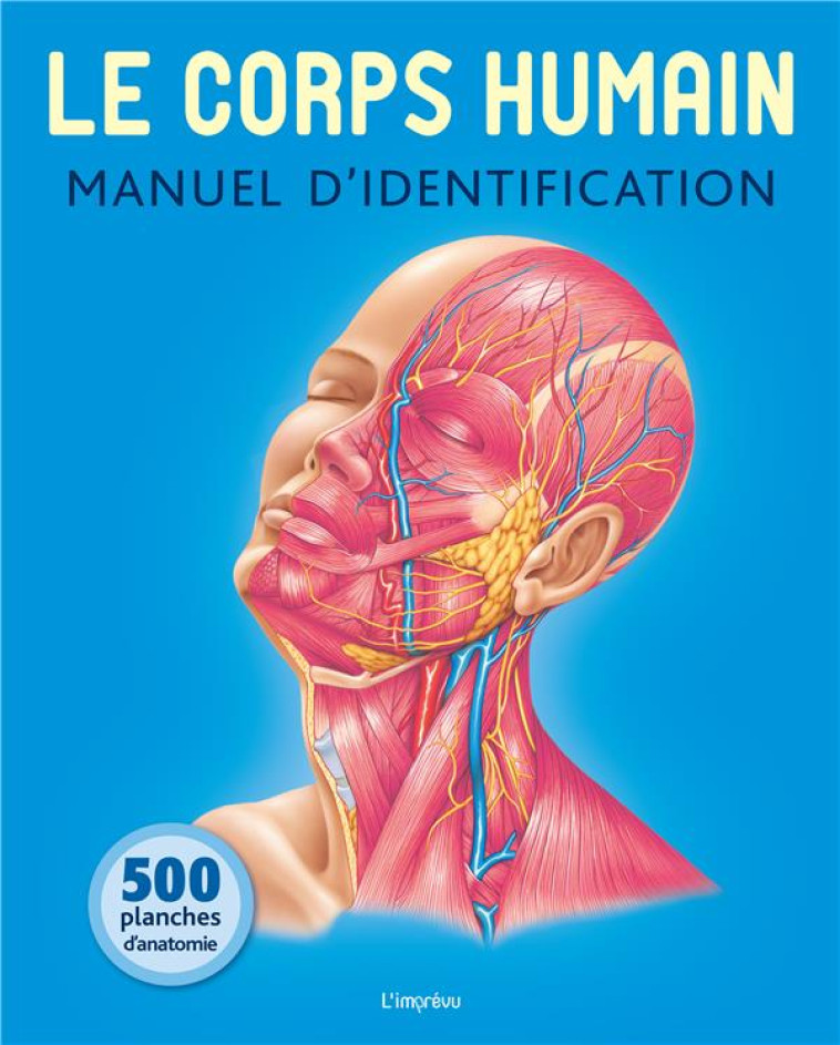 LE CORPS HUMAIN  -  MANUEL D'IDENTIFICATION  -  500 PLANCHES D'ANATOMIE - ASHWELL KEN - Editions de l'Imprévu