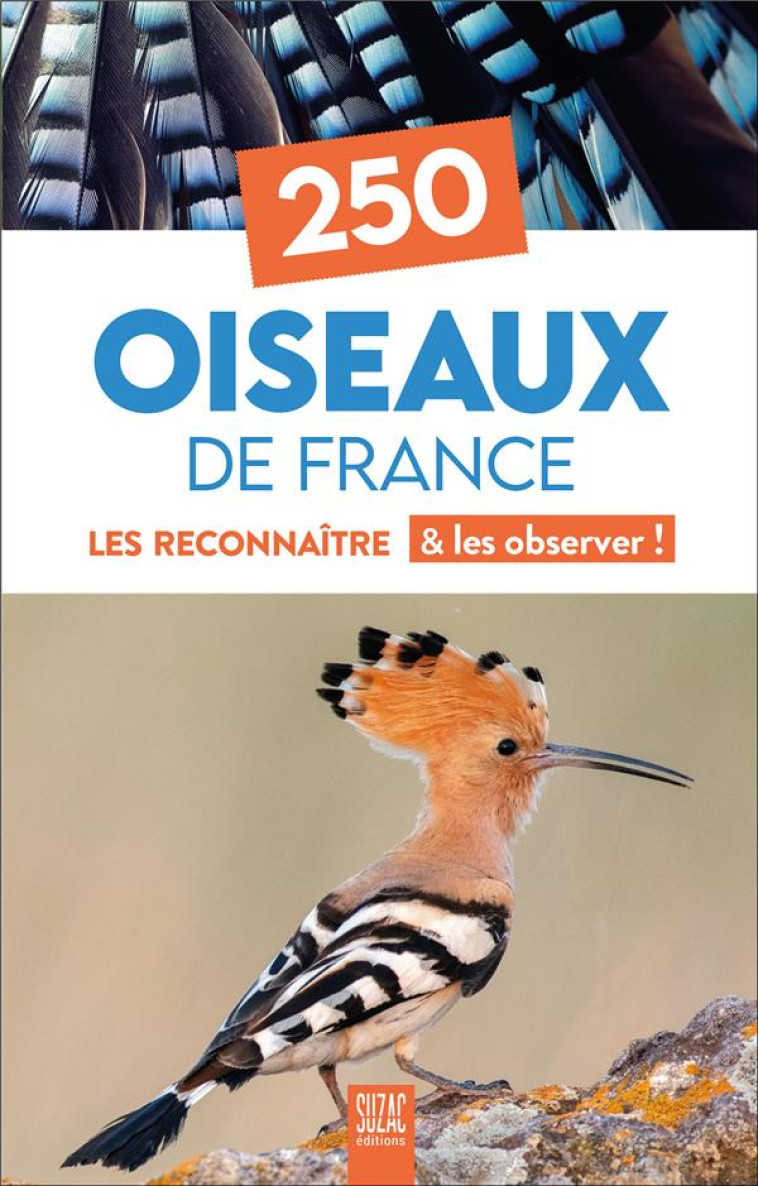250 OISEAUX DE FRANCE - LES RECONNAITRE #038; LES OBSERVER ! - COLLECTIF - DU LUMIGNON