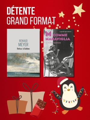 Coffret de Noel - Roman détente