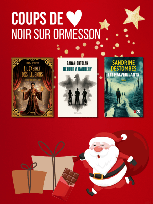 Coffret de Noel - Polar Noir sur Ormesson